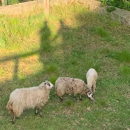 Casa di campagna Casa Y Rural Terra Celta En Salceda de Caselas