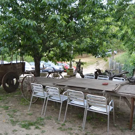 Casa Y Rural Terra Celta En * Salceda de Caselas